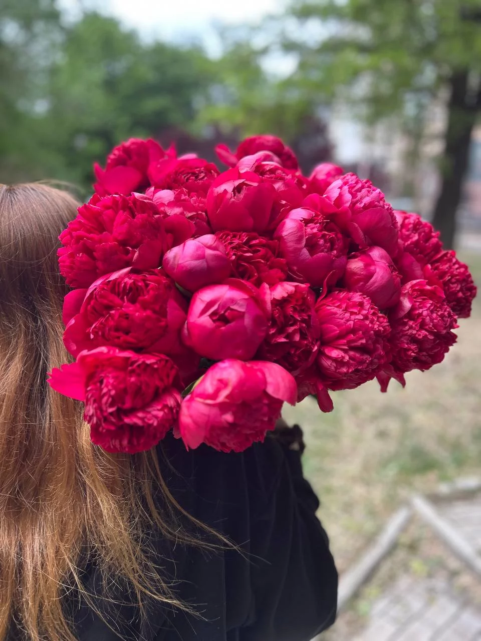 Пионы поштучно (яркие) — изображение 3