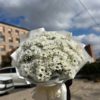 мужской букет днр
