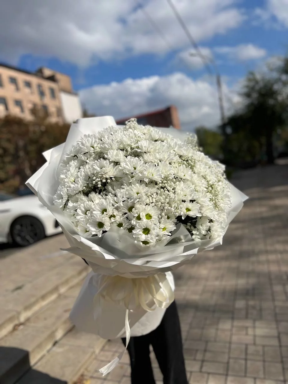 хризантемы донецк